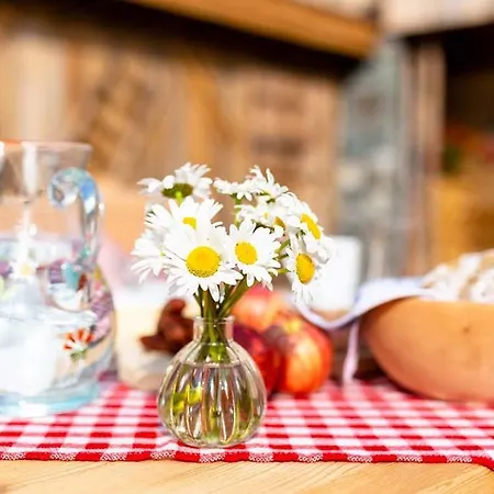 Stadl Lofts Plattenalm - Premiumchalets - Zillertal - Tirol - Salzburg Chalet
